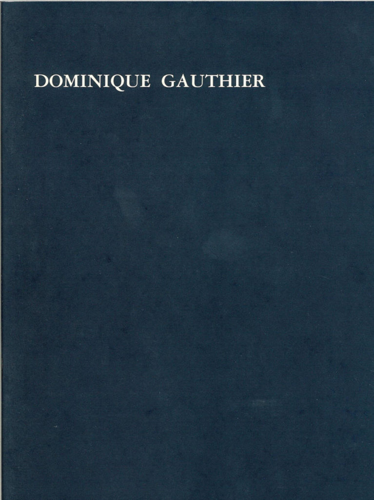 catalogue Dominique Gauthier exposition au musée d'art moderne de Collioure